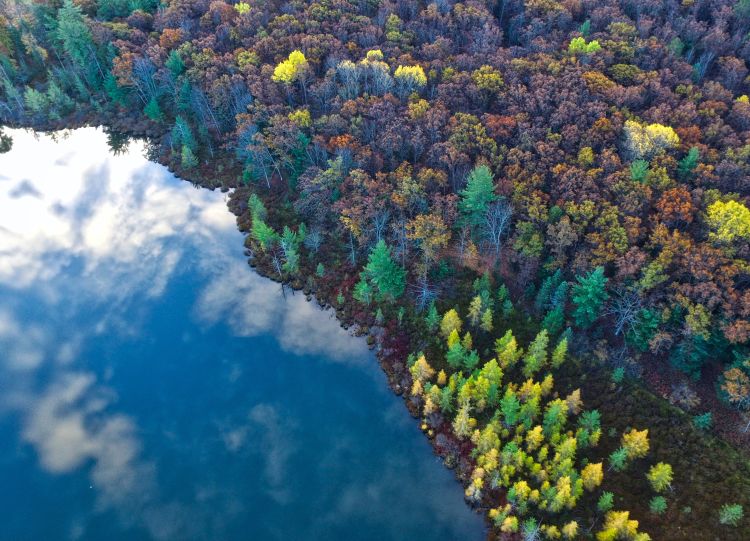 Decorative image of an arial shot of a Michigan forest and lake.