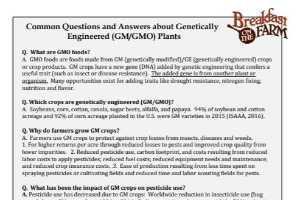 Common Questions and Answers about Genetically Engineered (GM ...