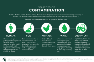 Contamination Infographic