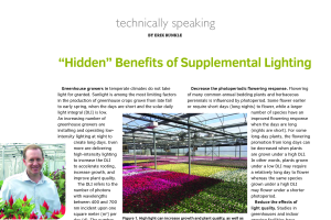 “Hidden” benefits of supplemental lighting
