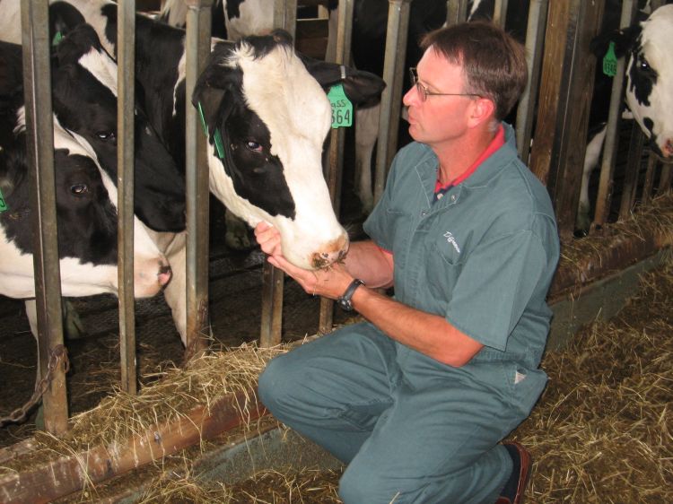 Michigan State University (MSU) large animal veterinarian Dan Grooms