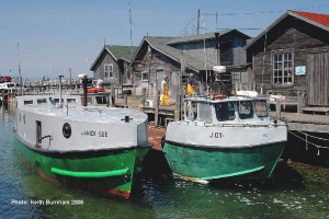 Northwest Lower Michigan Fisheries Heritage: Travel, tourism and fish