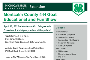 Montcalm County 4-H Goat Show
