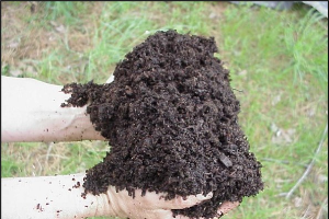 Compost handling in agriculture systems: Disease-suppressing and growth-promoting composts