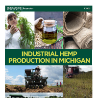 Industrial Hemp Production cover