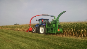Agronomic guidelines for late planted silage corn
