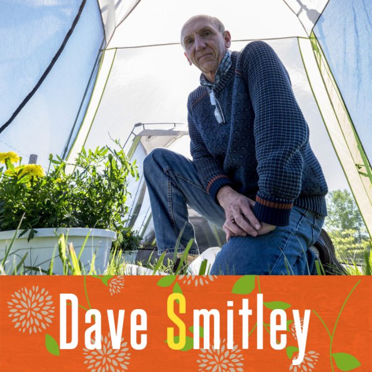 Dave Smitley