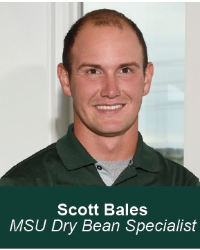 Scott Bales