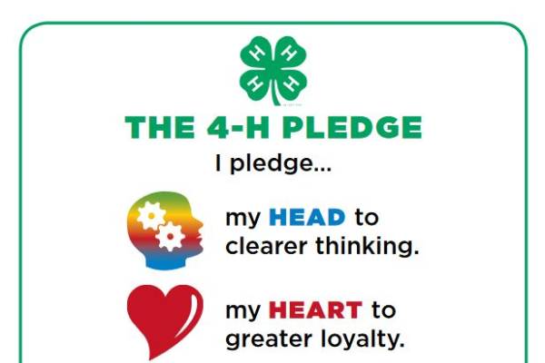 Applying the 4 H pledge to member s lives 4 H Adulting 101