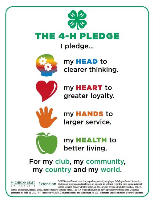 The 4-H clover at the top with images of a rainbow head, red heart, orange hands and green apple. This image also has the words: The 4-H Pledge. I pledge my head to clearer thinking, my heart to greater loyalty, my hands to larger service, my health to better living for my club, my community, my country and my world.