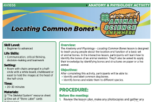 4-H Animal Science Anywhere: Locating Common Bones