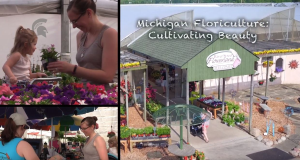 Michigan floriculture: Cultivating beauty