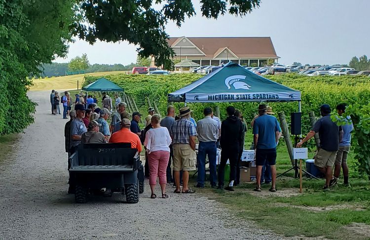 Education day in the vineyard