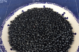 Black beans and rice history and fun facts