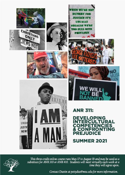 Flyer of ANR 311 with images of diversity and social justice.