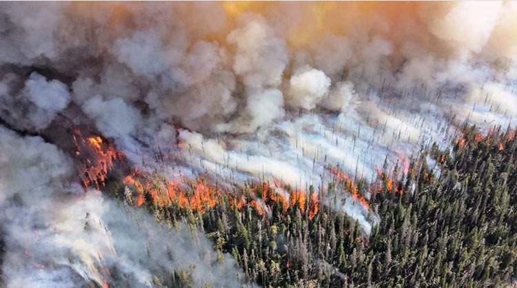 Smoke and wildfires overtaking a park.