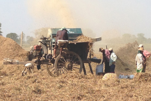 The Acceleration of Mechanization in the Agricultural Sector