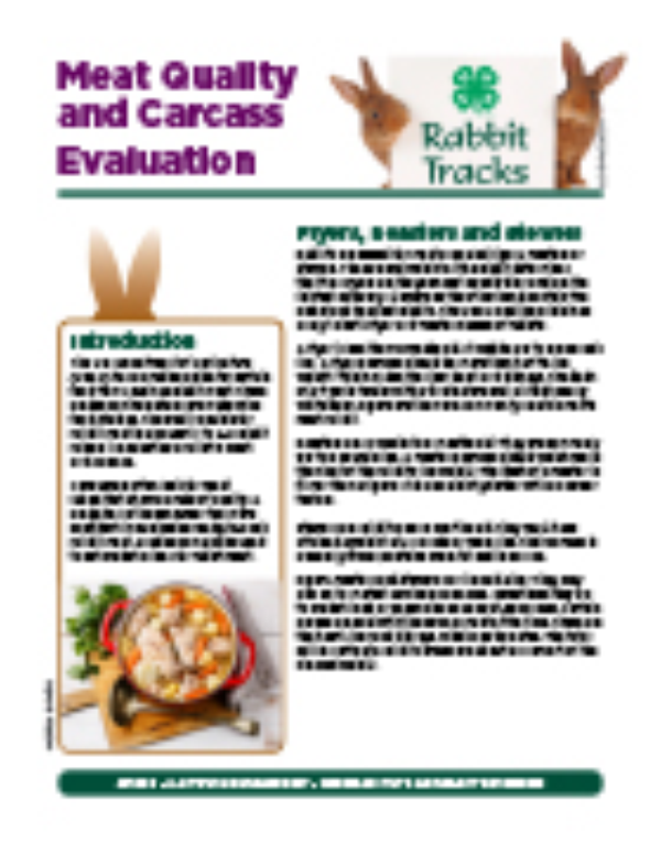 Rabbit meat 2025 prices 2017