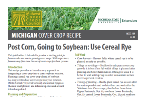 Cover Crop Recipes: Post Corn, Going to Soybean: Use Cereal Rye