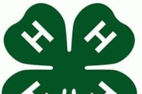 what-does-4-h-stand-for-msu-extension