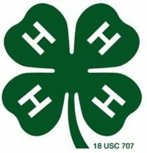 What Does 4 H Stand For MSU Extension