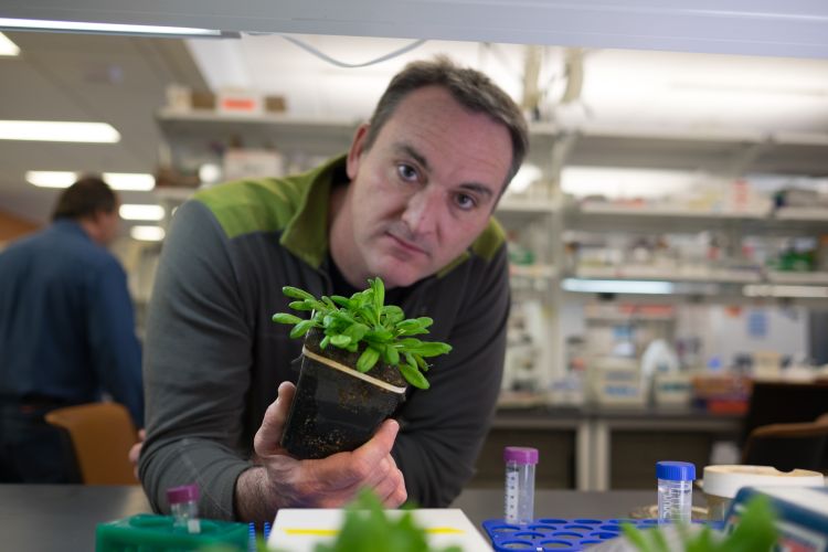 Brad Day in the lab with a plant.