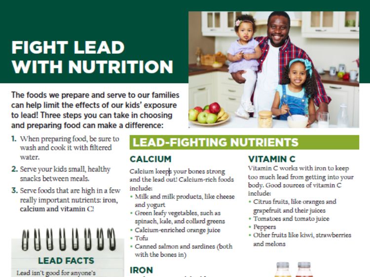 Photo capture of MSU Extension's Fight Lead Exposure website. | MSU Extension