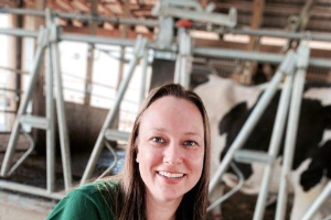 MSU researchers receive grants to study dairy cattle health