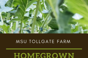 2022 MSU Tollgate Farm HomeGrown Gardening Series: The Good, the Bad, and the Ugly: Integrated Pest Management for the Veggie Garden