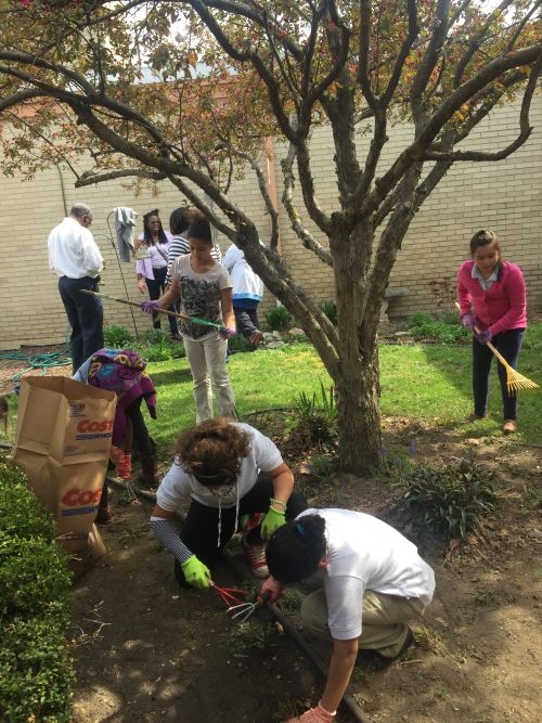 Volunteer mentors and their youth mentees work together to build a school garden.