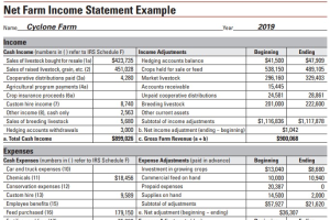 Creating an Income Statement for Your Farm
