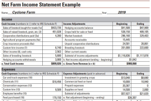 Farm Balance Sheet Template Farm Management