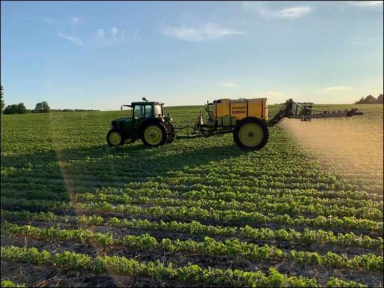 Deer repellent being sprayed on soybean field