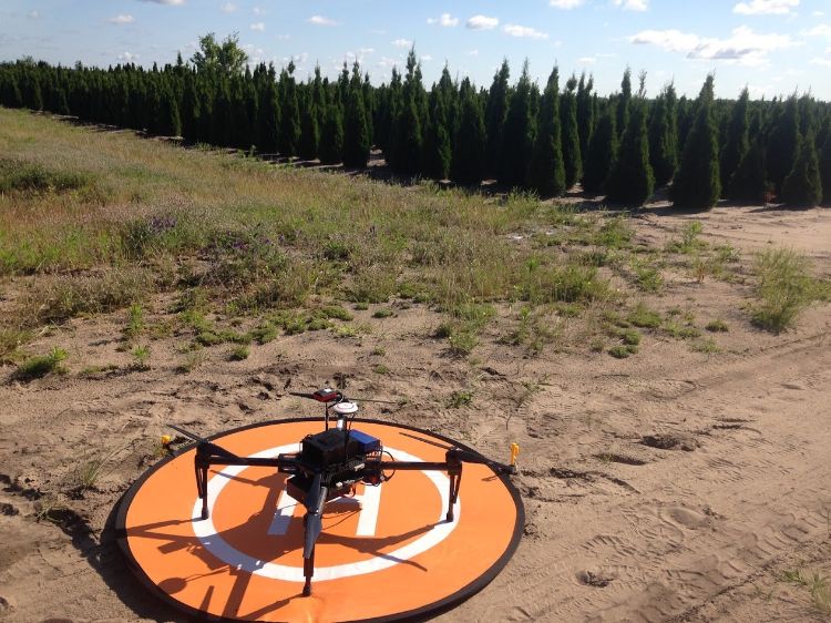 Drone preparing for flight to inventory field of arborvitae.