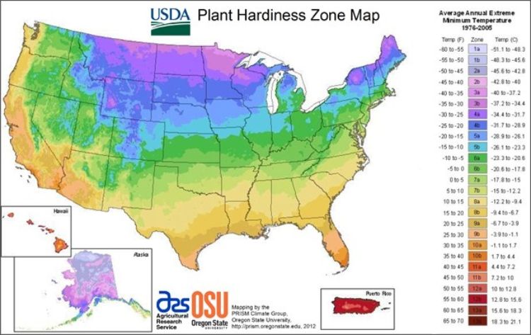 USDA Plant Hardiness Zone Map.