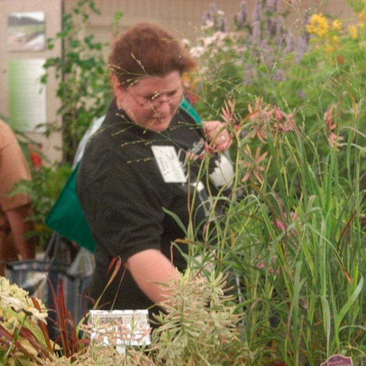 MSU Horticulture Club slates spring show and sale College of