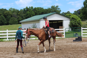 MSU Tollgate Farm 4-H Camp: Equine Science