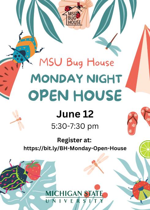 Green leaves, tropical fruits, and large colorful insects surround text reading 