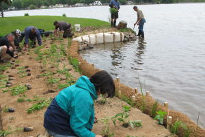 Upcoming workshop teaches homeowners about the importance of natural shorelines on inland lakes