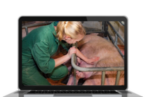 Veterinarian Training and Preparedness for Foreign Animal Disease