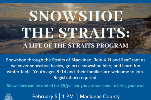 Snowshoe through the Straits: A Life of the Straits Program