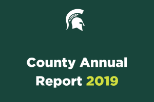 Schoolcraft County Annual Report: 2019