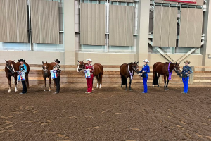 Michigan State 4-H Horse Show