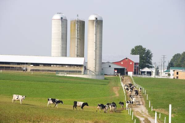 MSU seeks nominations for the 2024 Dairy Farm of the Year - Department ...