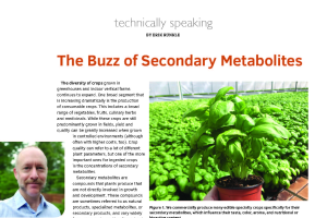 The buzz of secondary metabolites