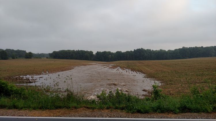 Torrent of water flowing through a “dry” culvert in central Cass County, June 9, 2018.