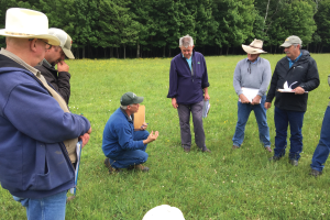 The pasture isn’t always greener on the other side: Or is it?