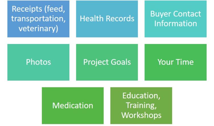 Record keeping: Now where did I put that information? - 4-H Animal Science