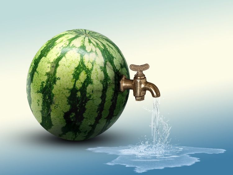 A watermelon with a water spout inserted into it.