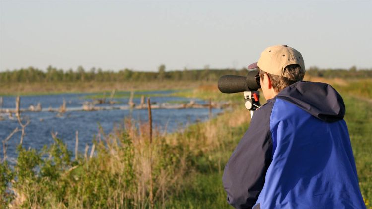 Birders enjoy wetland habitats of Tuttle Marsh during the annual Tawas Point Birding Festival. Photo credit: Michigan Sea Grant